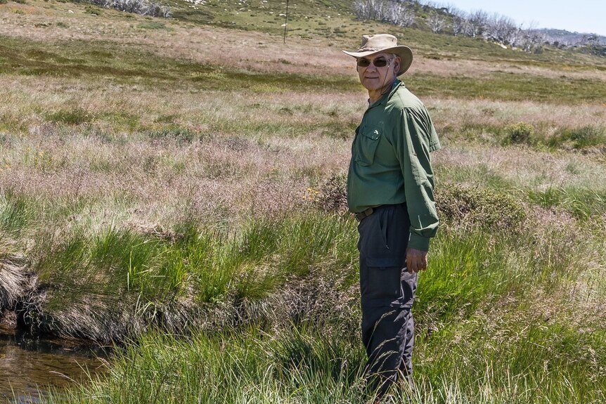 A man wearing a green shirt, grey trouser, wide brimmed hat stands in a marsh. 