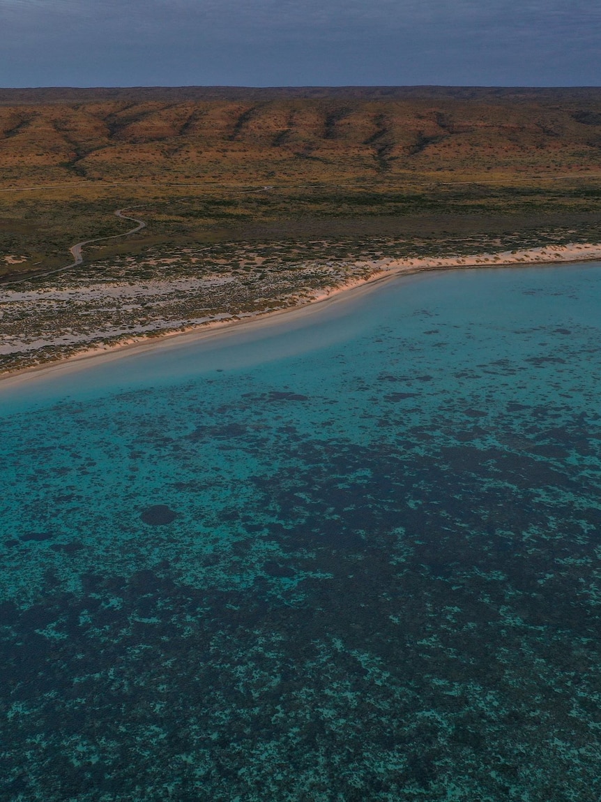 Third La Niña means World Heritage-listed Ningaloo Reef coral is at risk of further bleaching, scientists say