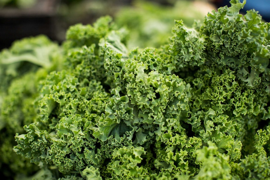 is kale really a superfood how do i