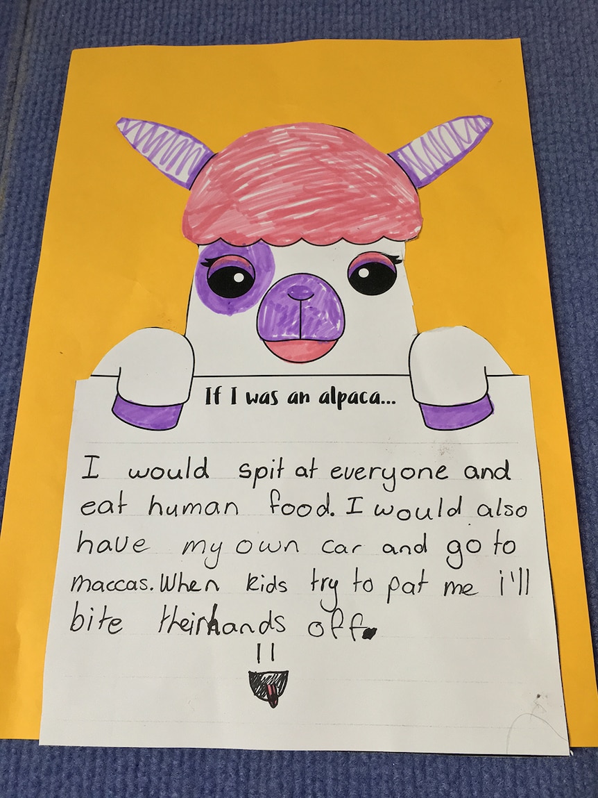 A student's alpaca artwork.