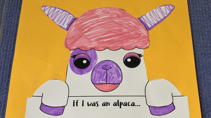 A student's alpaca artwork.
