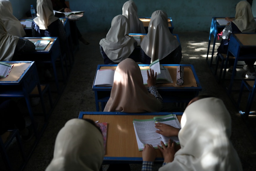 Afghan girls sit in a classroom at wooden desks wearing headscarfs.