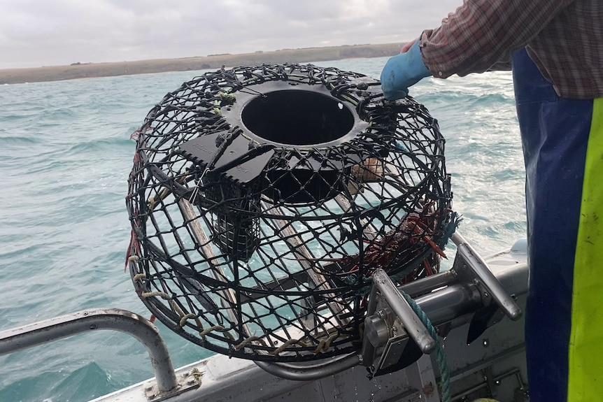 A lobster pot