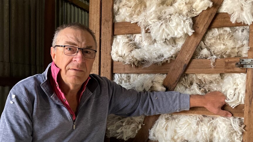 Man sitting in front of crate filled with white sheep wool