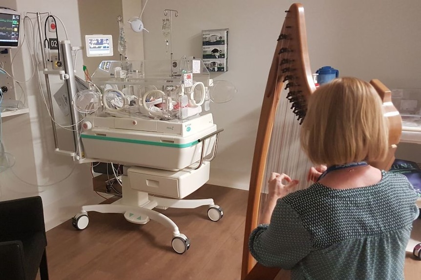 A harpist plays to a baby in a humidicrib in hospital.