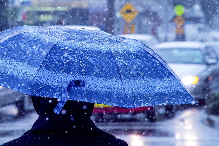 Snow flakes falling on pedestrian with umbrella standing in the street of a regional town to depict tree change.