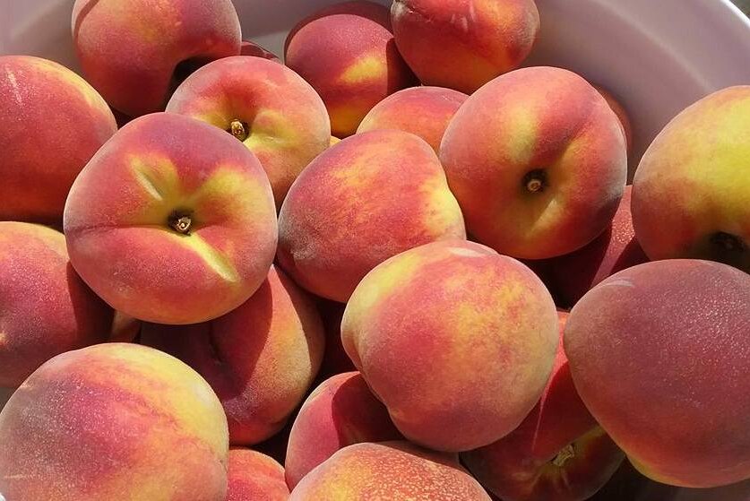 Close of photo of a colourful bowl of peaches. They're pink and yellow and fuzzy.   