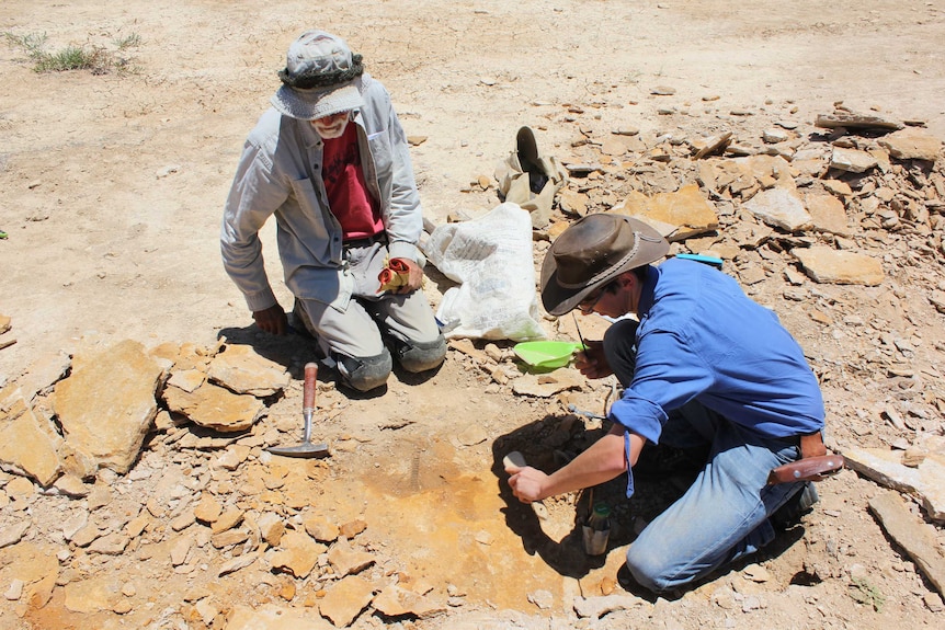 Volunteer Gary Flewelling and Dr Patrick Smith knee in the dirt searching for fossils.