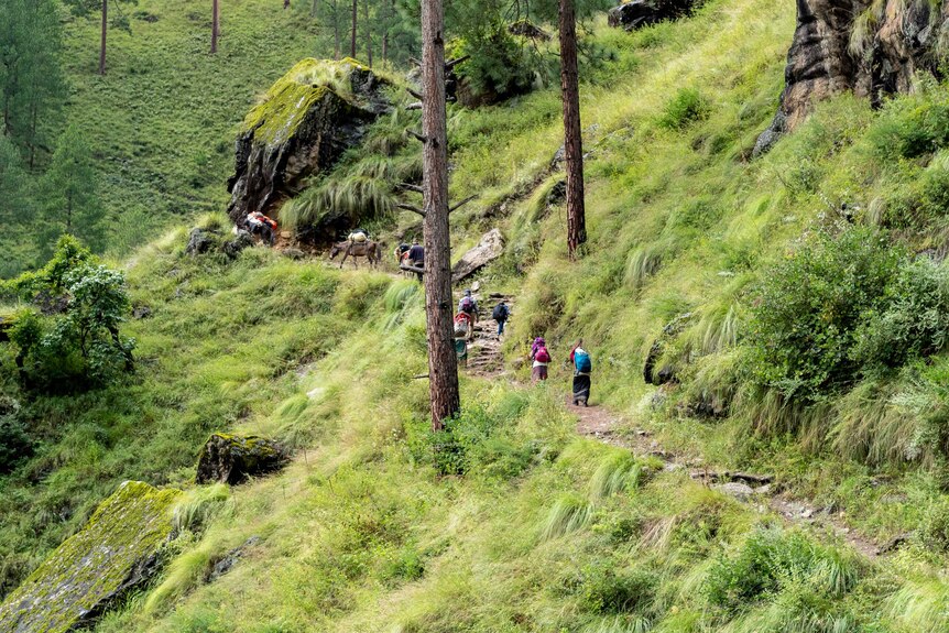 Walkers climb a steep path through a green valley.