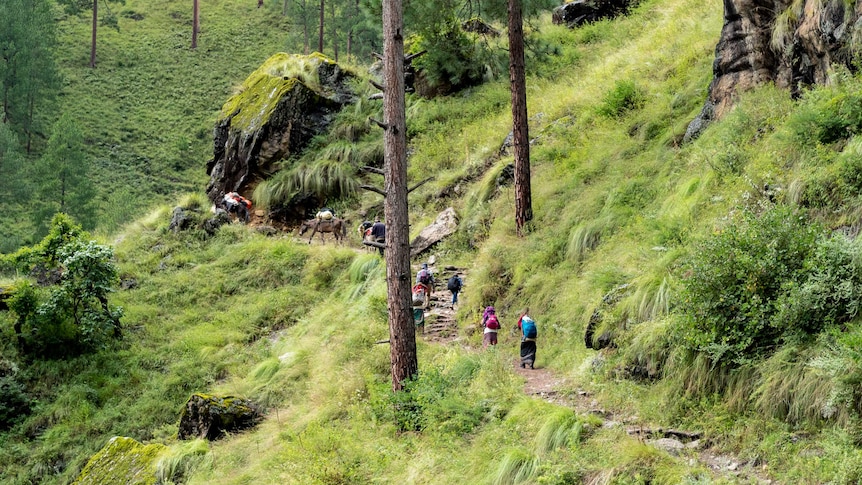 Walkers climb a steep path through a green valley.