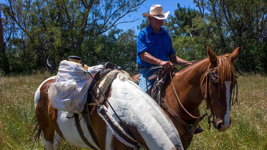 Steve Bradshaw spraying weeds on horse back