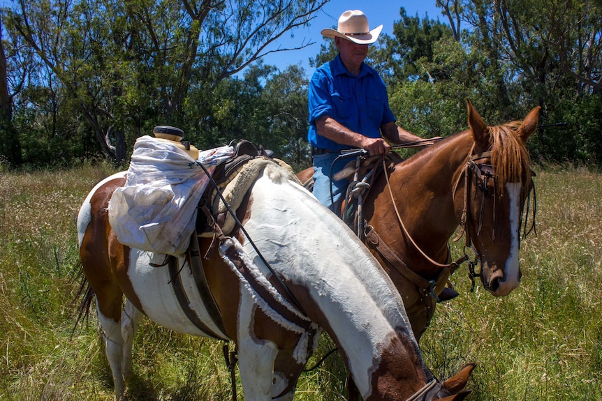 Steve Bradshaw spraying weeds on horse back