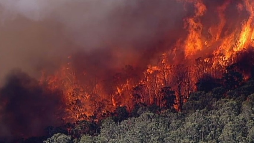 Massive bushfire in Putty could burn for a month