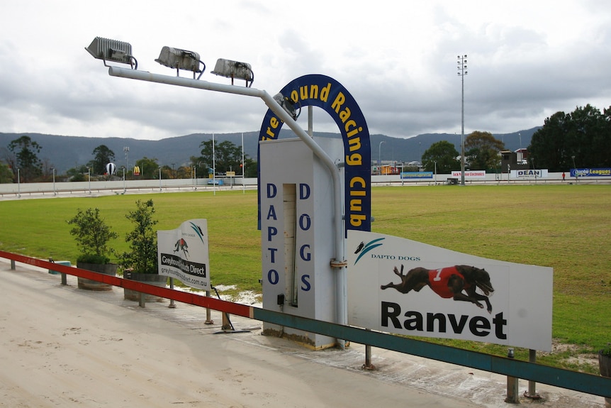 A close-up of the greyhound racing track.