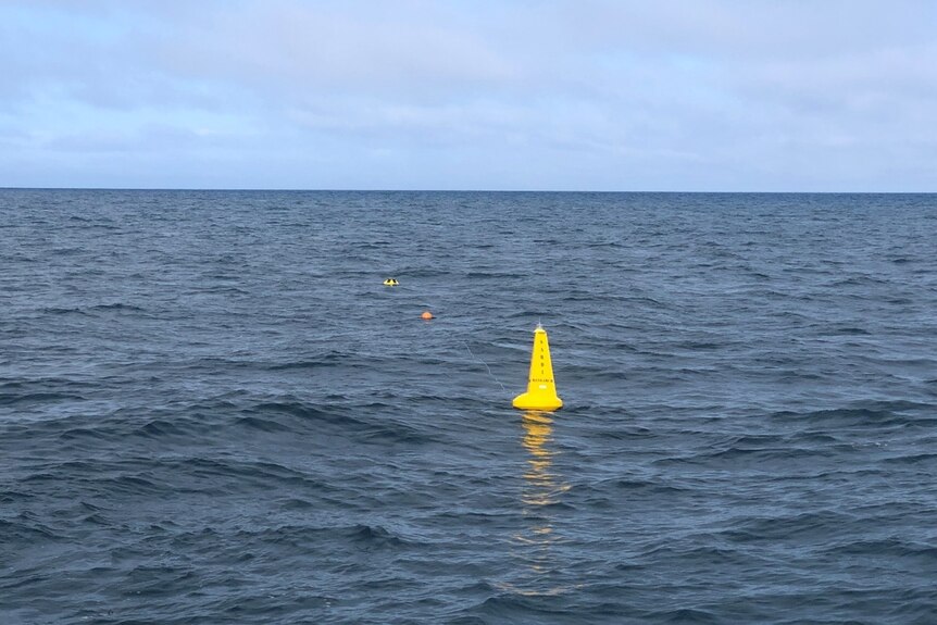 An orange buoy floats in the Gulf St Vincent.