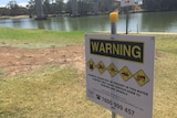 Algae warning at the Mildura stretch of the Murray River.