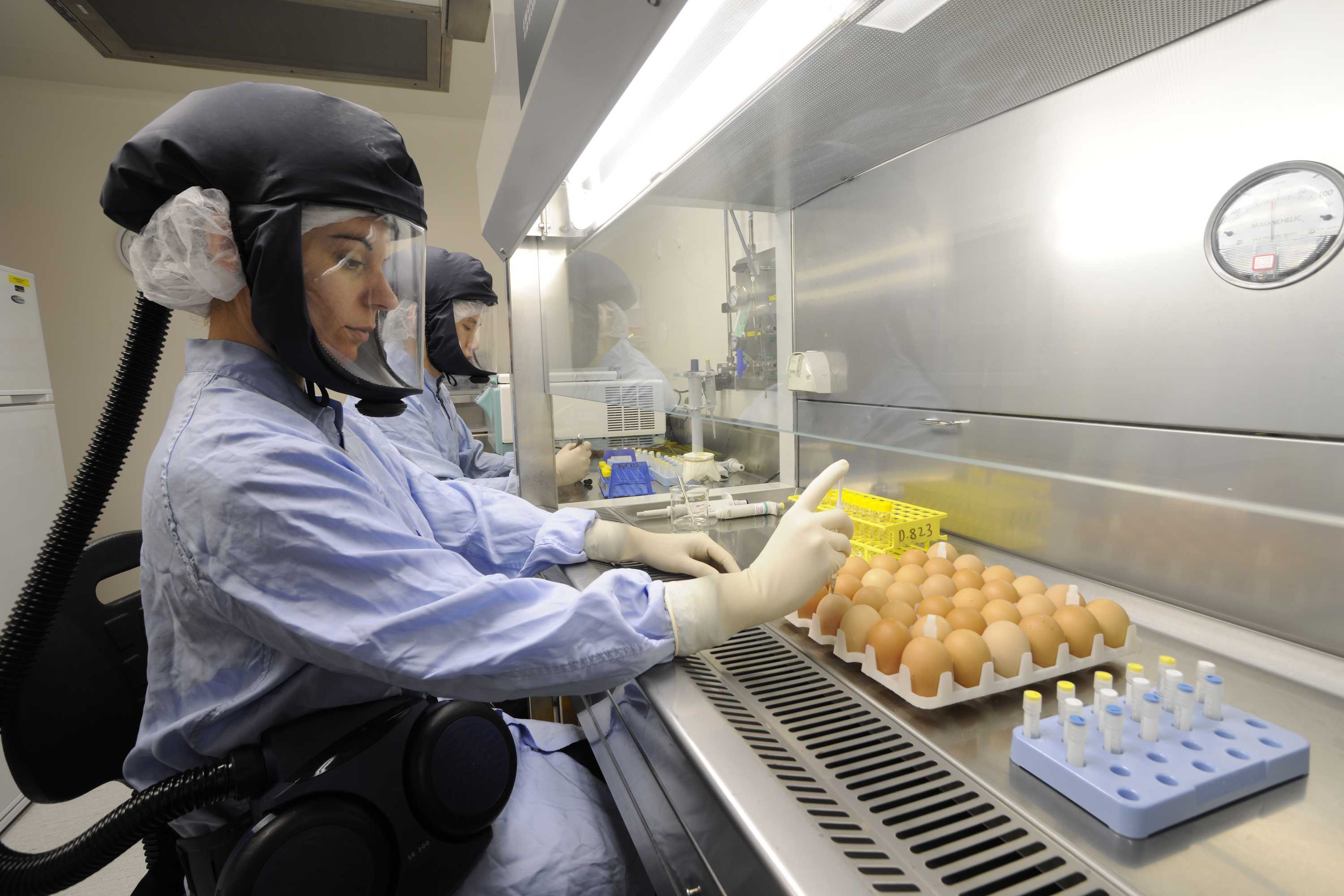 A scientist in protective gear putting a vaccine into some eggs