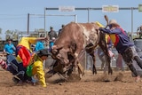 Rodeo clown Cain Burns come eye to eye with a bull while trying to save a ride at the Halls Creek rodeo.