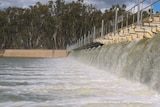 Buy-back urged: The report says engineering projects are unlikely to save enough water.