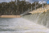 John Howard says the premiers need to overcome their parochial approach to water to make headway on the issue.