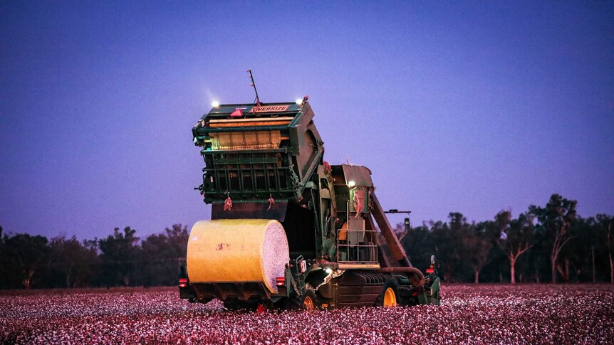 Cotton harvester at night releasing a bale of cotton.