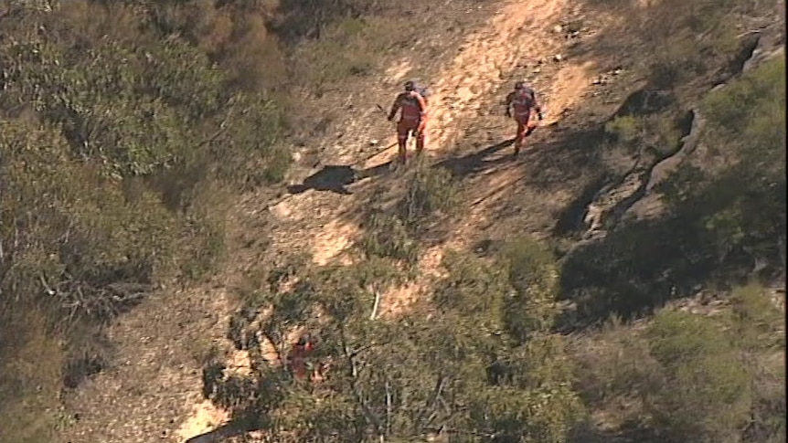 aerial view of emergency services walking through a park