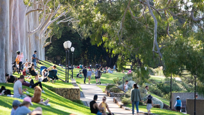 Crowds of people enjoy the sunshine on the grass at Kings Park