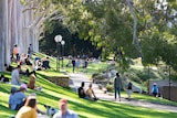 Crowds of people enjoy the sunshine on the grass at Kings Park