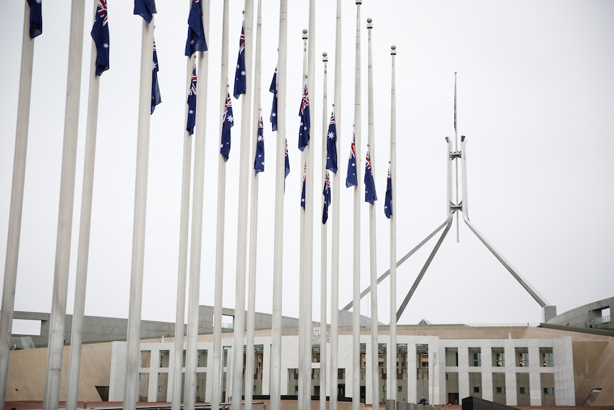 Rows of flagpoles carry flags sitting at half mast, Parliament House visible in the background with a lowered flag.