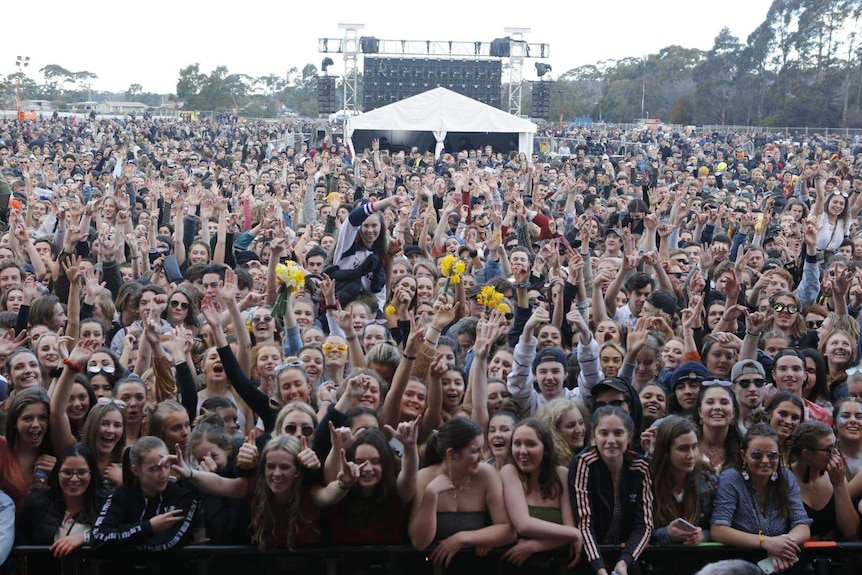 A crowd of young people at a music festival.