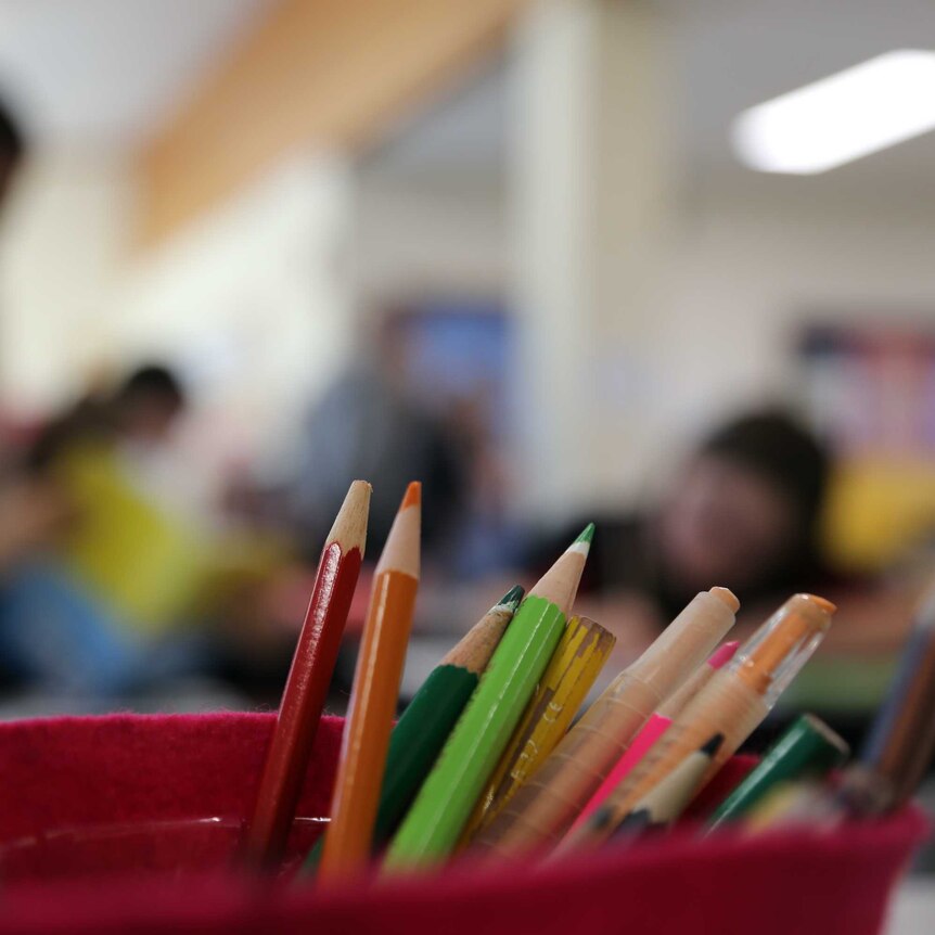 coloured pencils in a red felt container with out-of-focus primary school students in the background
