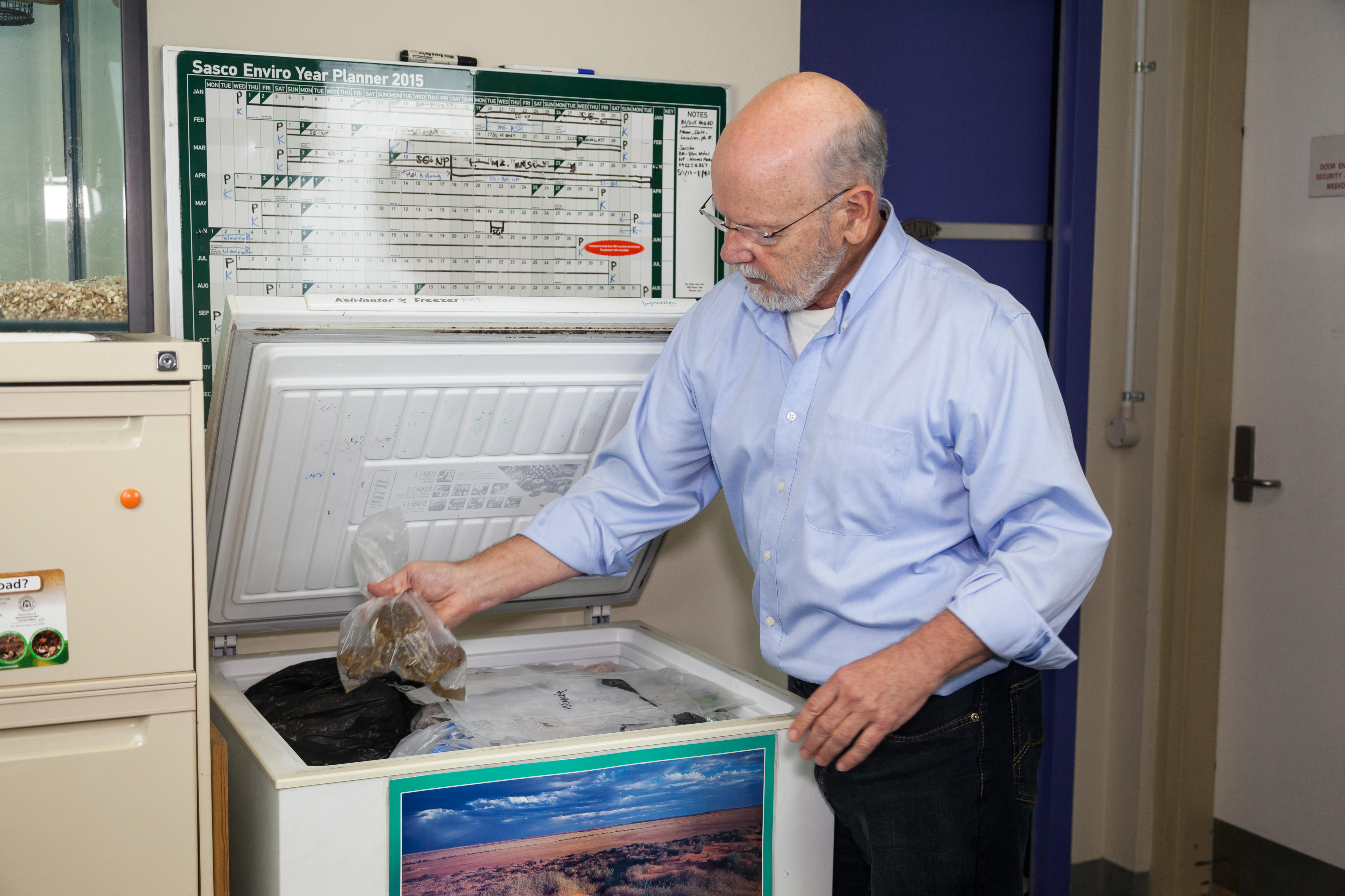 A man puts toads in a freezer