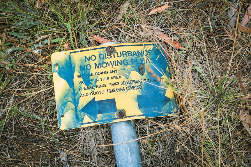 A fading yellow sign with blue paint splashed on it lies on the ground, with text 'no disturbances, no mowing please'