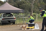 Two police officers with paper bags of evidence near a crashed car that has a tent over it.