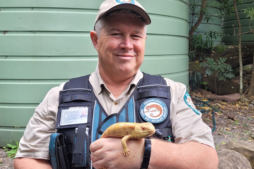 A man wearing a grey cap and blue QPWS vest holds an albino lizard.