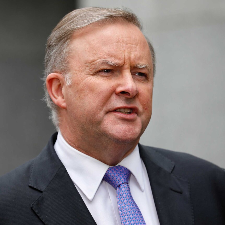 Anthony Albanese speaks to journalists.