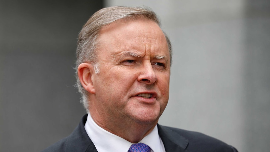 Anthony Albanese speaks to journalists.