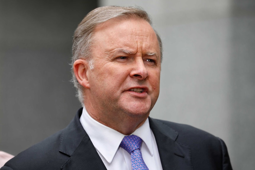 Anthony Albanese speaks to journalists.