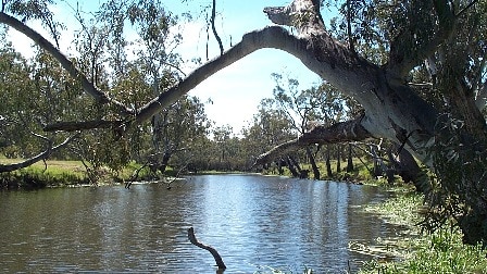 Glenelg River, western Victoria