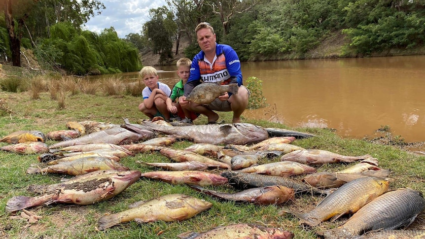 A man and two boys kneel on a riverbank in front of a veritable regatta of fish corpses.