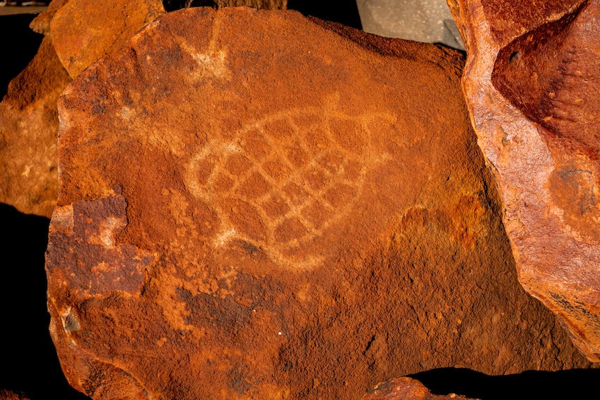 Rock art at Murujuga, showing a turtle.