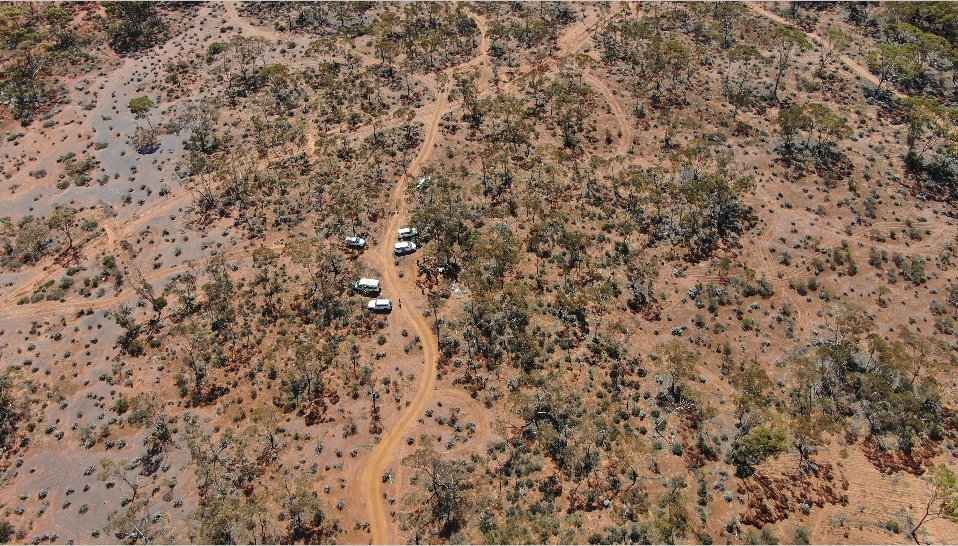 drone shot of bushland