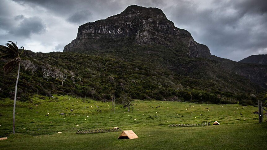 Several small wooden boxes in a field, with a large mountain towering behind.