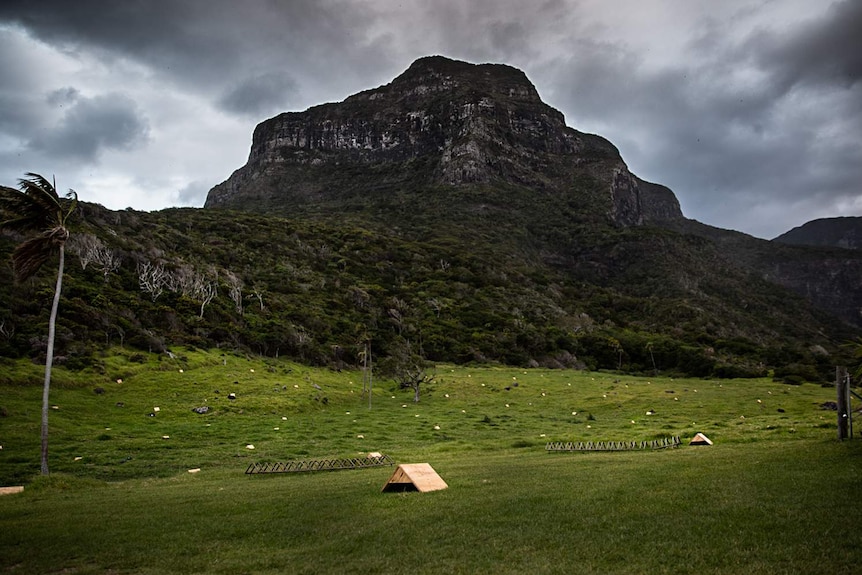 Several small wooden boxes in a field, with a large mountain towering behind.