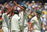 India celebrates the wicket of Shane Watson