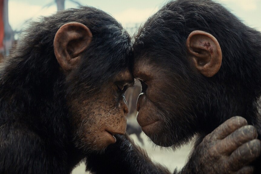 Kingdom of the Planet of the Apes - Figure 5