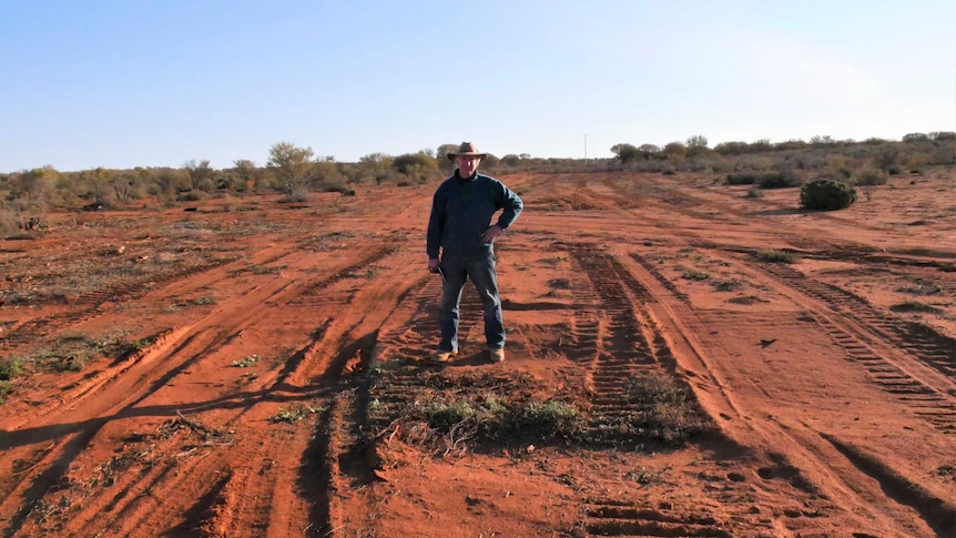 Broken Hill Landcare Chairman Simon Molesworth stands in the middle of cleared land out on the Broken Hill common