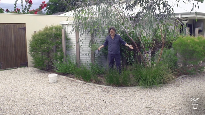 Man standing in garden bed with arms outstretched