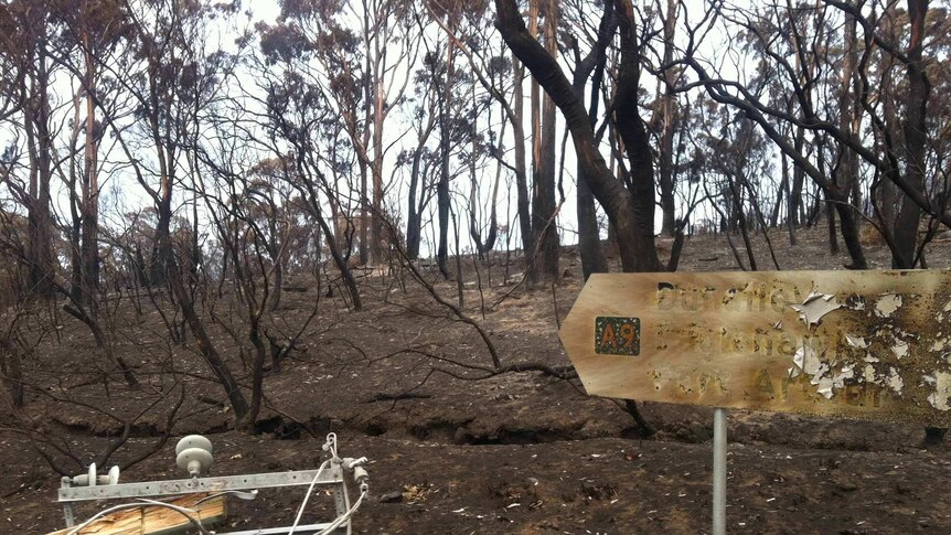 Burnt sign and power pole on the Forestier Peninsula after bushfire emergency.