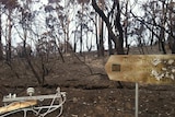 Burnt sign and power pole on the Forestier Peninsula after bushfire emergency.